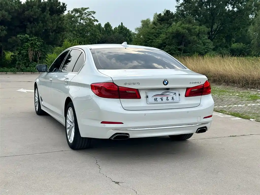 BMW 5 Series 5 2020 530Li Lead Luxury