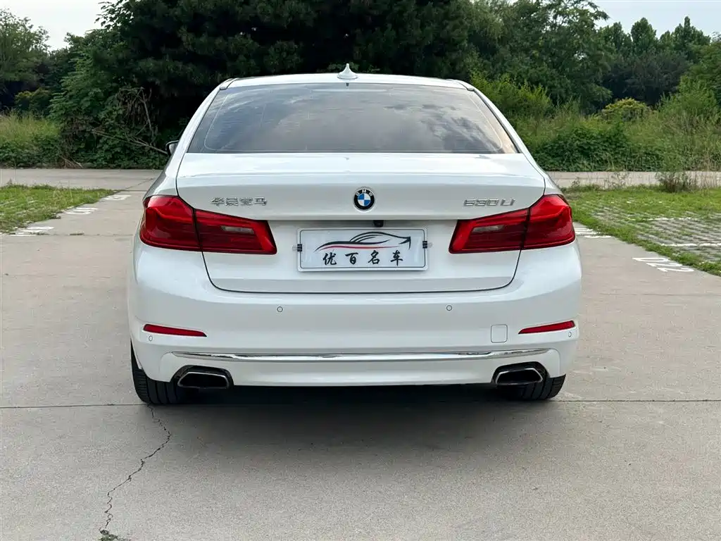 BMW 5 Series 5 2020 530Li Lead Luxury