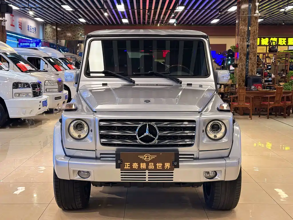 Mercedes-Benz G-Class G 2010 G 500