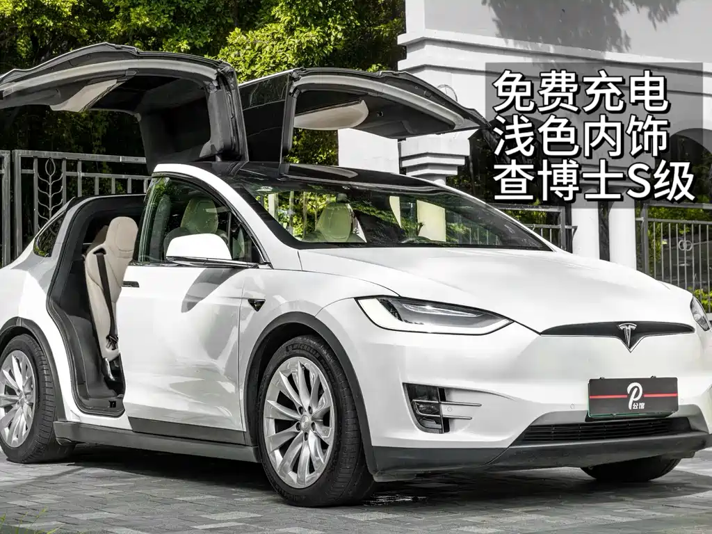 TESLA MODEL X