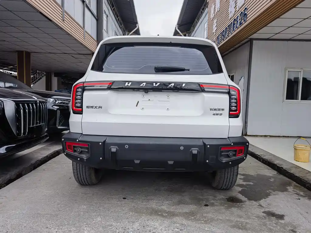 HAVAL BIG DOG