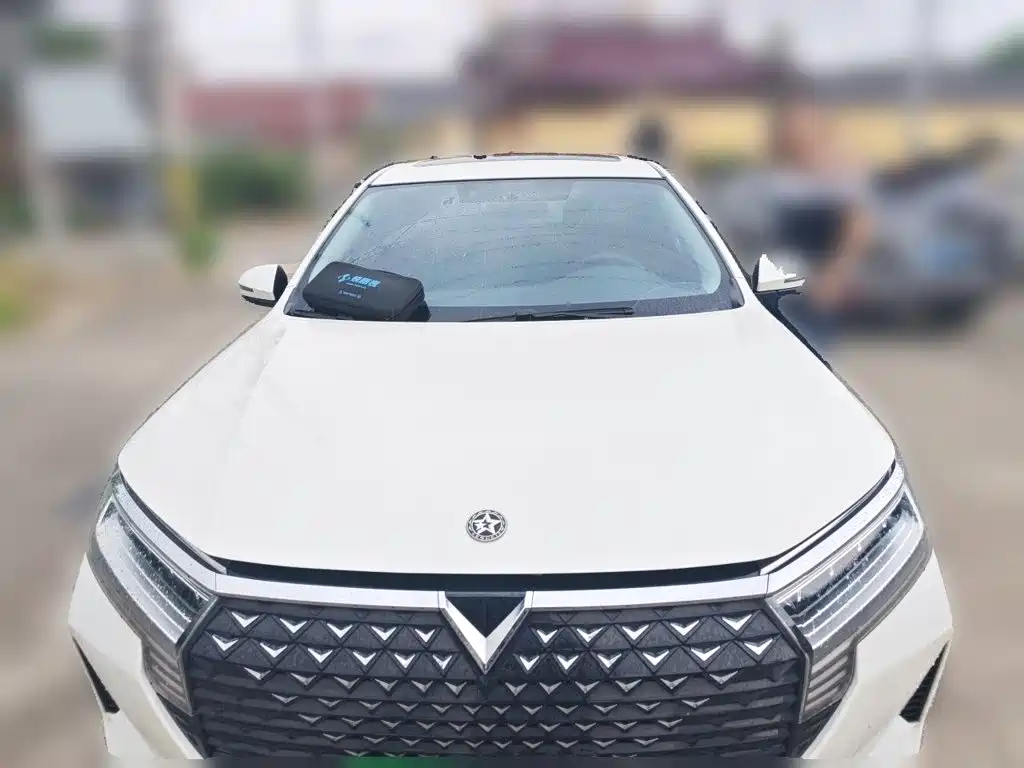 Venucia D60 — миниатюра 23
