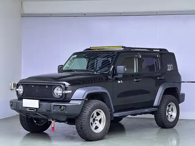2021 TANK 300