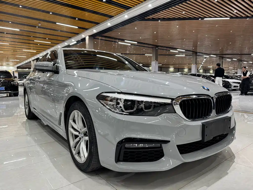 BMW 5 SERIES