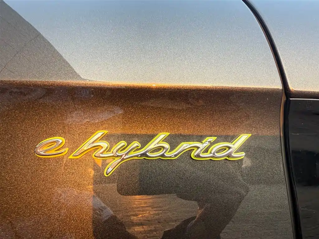 PORSCHE PANAMERA NEW ENERGY