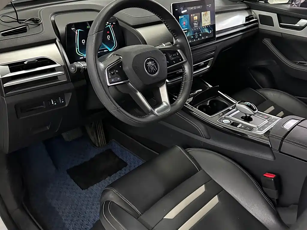 BYD Qin Pro NEV — миниатюра 10