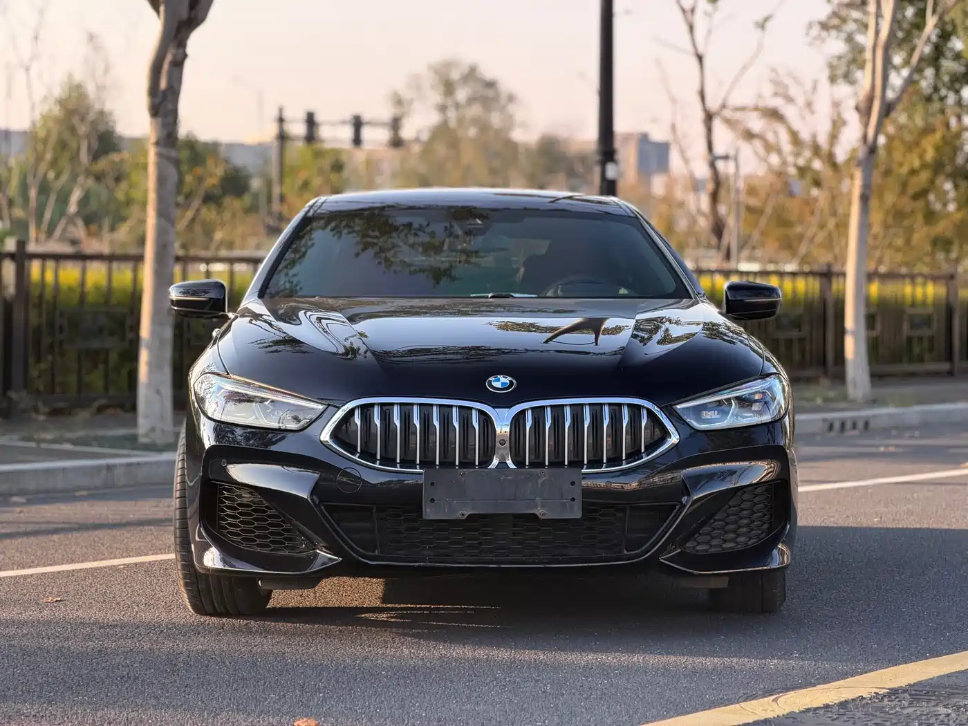 BMW 8 Series