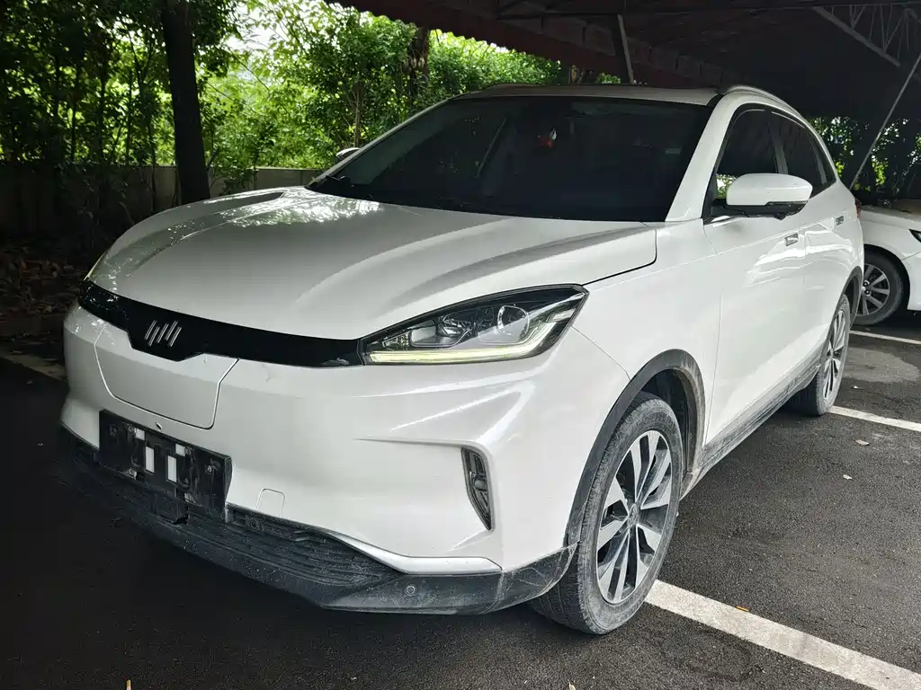 WM Motor EX5 2019 EX5 Smart Drive 2.0 Extra Create New Edition 400