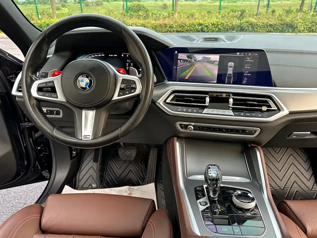 BMW X6 2020 xDrive30i M Sport