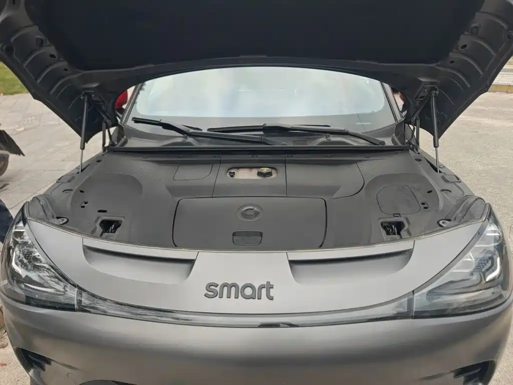 smart Smart #1 — миниатюра 21