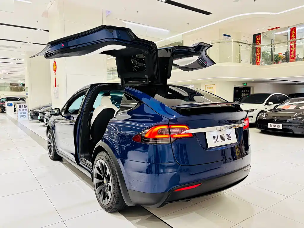 TESLA MODEL X