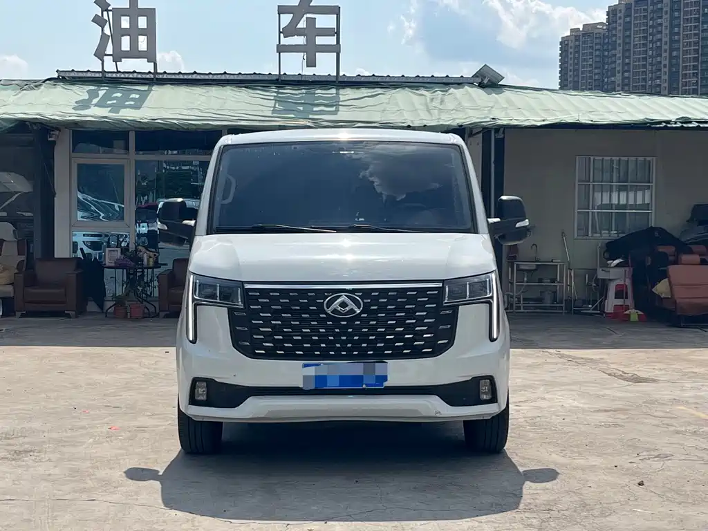 MAXUS V80 — миниатюра 2