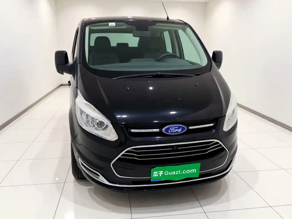 Ford Tourneo — миниатюра 2