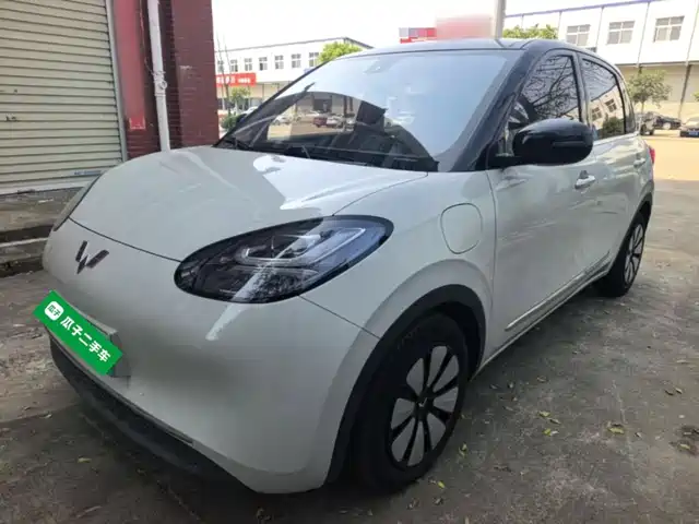 Wuling Bingo
