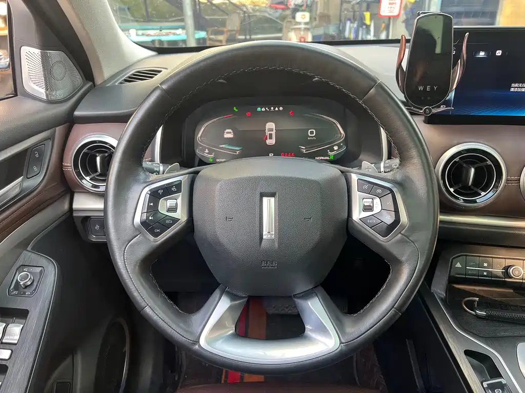 WEI PAI WEI BRAND VV6