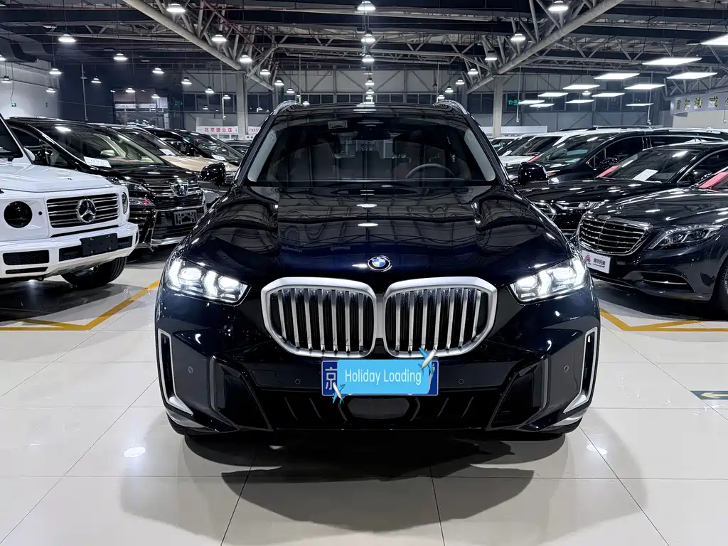 BMW X5 — миниатюра 2