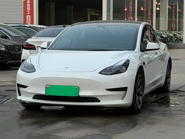 TESLA MODEL 3 2022