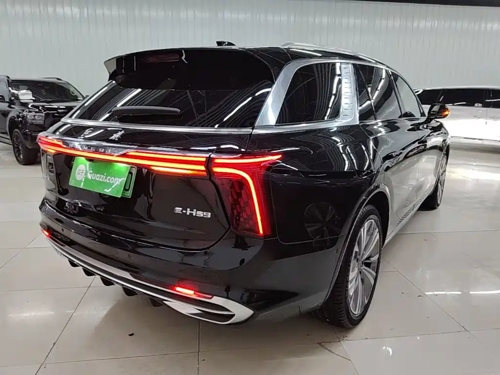 Hongqi Hongqi E-HS9 — миниатюра 7