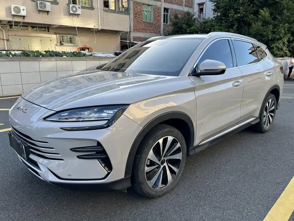 Byd PLUS New Energy 2024
