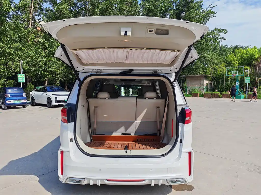 Buick GL8 — миниатюра 14