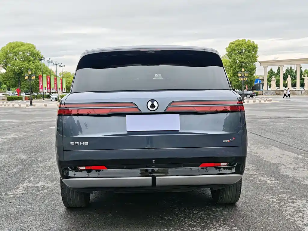 Denza N9 2025 Flagship