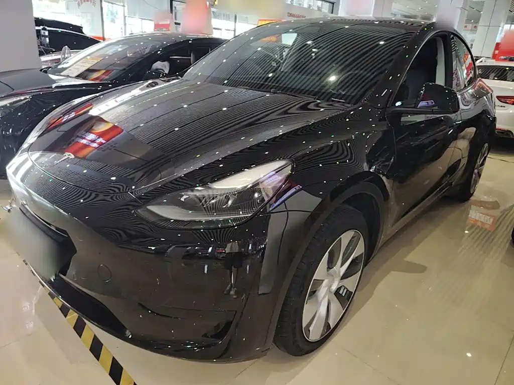 Tesla Model Y — миниатюра 2