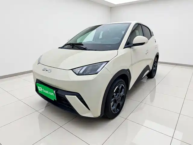 2025 BYD Seagull