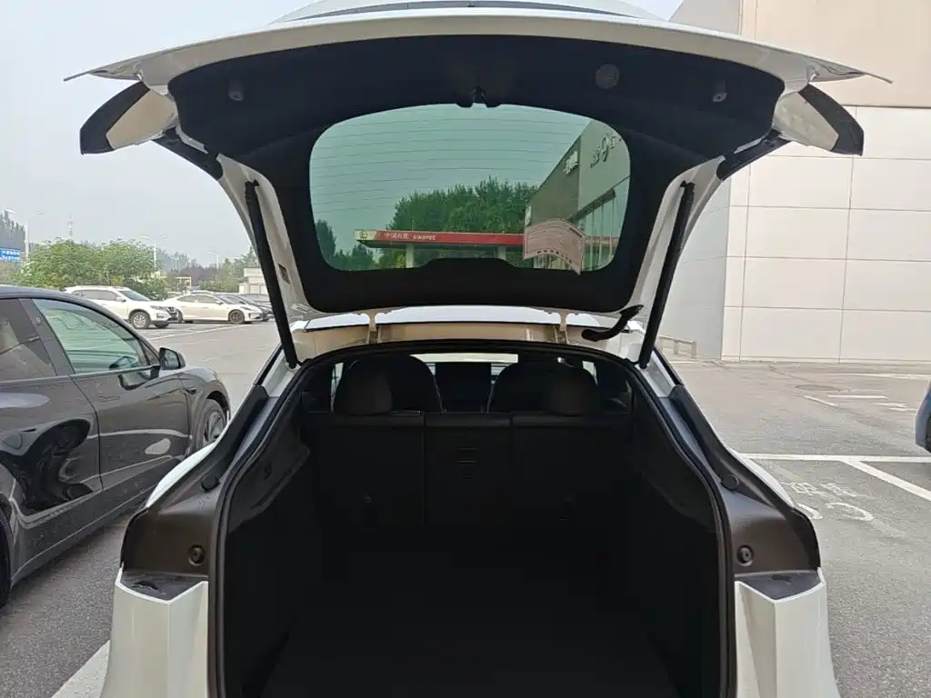 Tesla Model Y — миниатюра 19