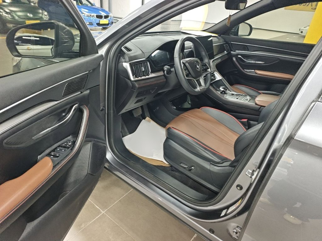 BYD PLUS — миниатюра 16