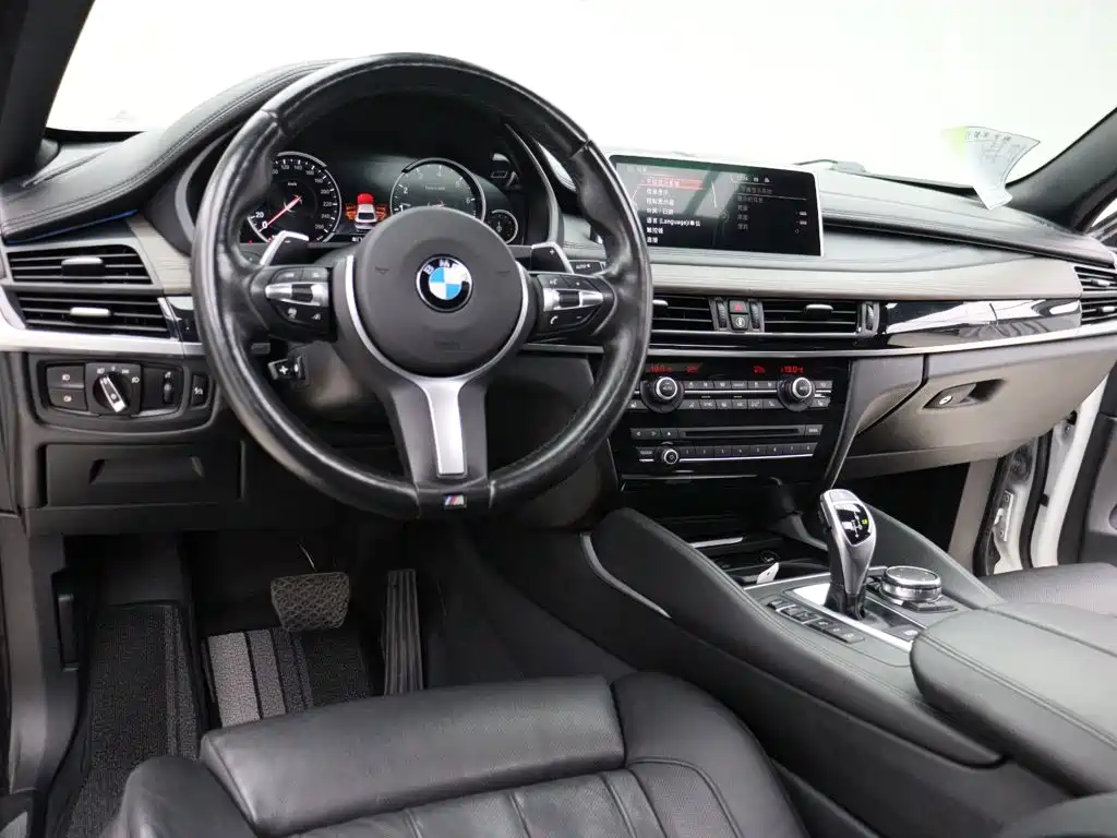 BMW X6 — миниатюра 12
