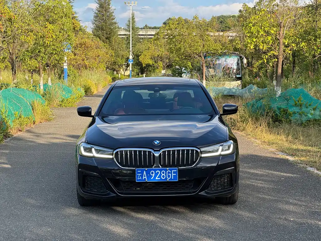 BMW 5 Series — миниатюра 2