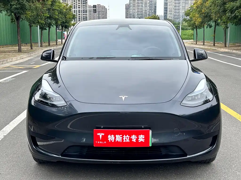 Tesla Model Y — миниатюра 3