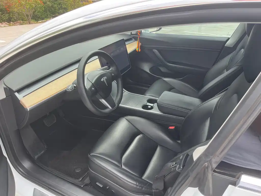 Tesla Model 3 — миниатюра 7