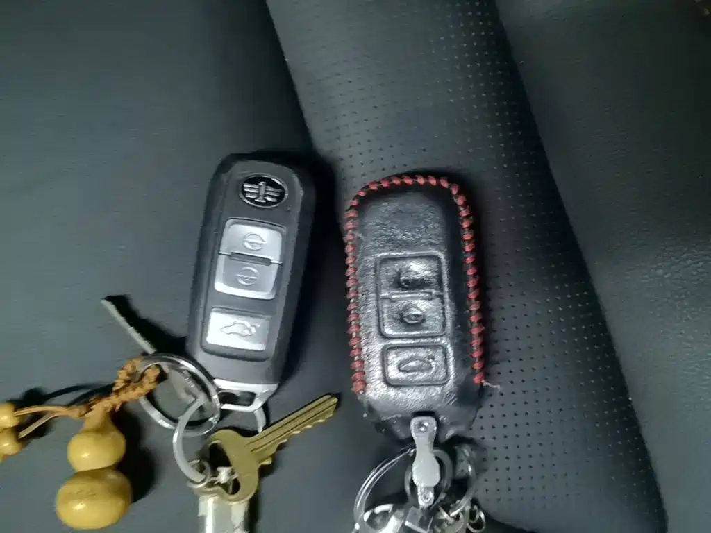 FAW Senya R7 — миниатюра 9