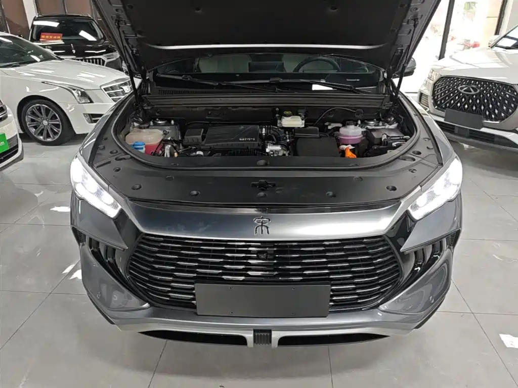 BYD Pro New Energy - фото 16