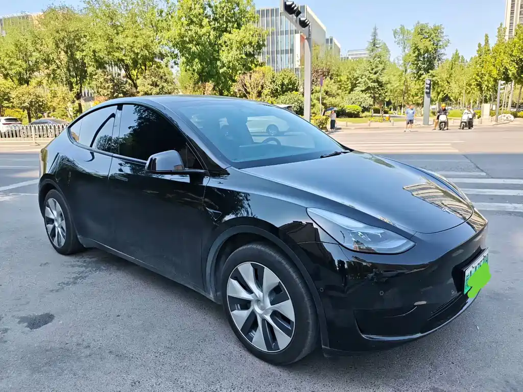 Tesla Model Y — миниатюра 3