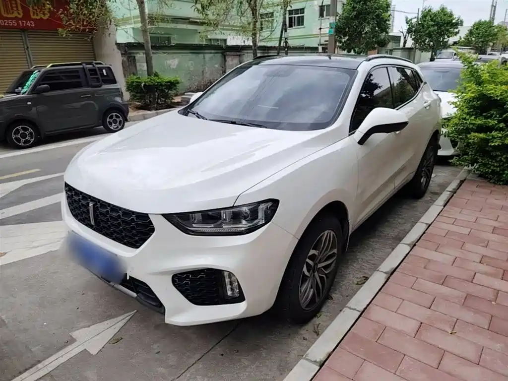 Wey Wey VV5 2018