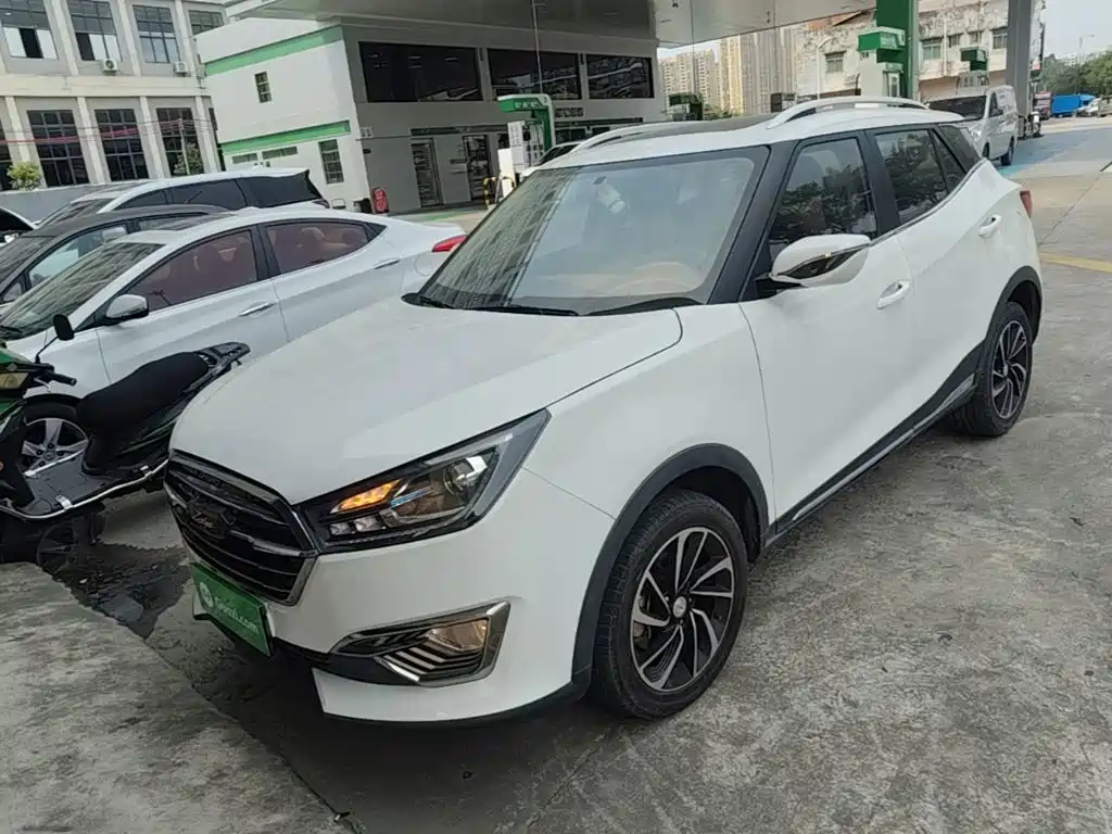Zotye Zotye T300