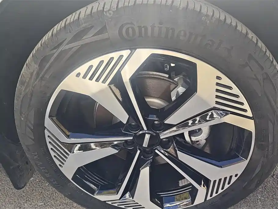 WEI PAI WEI BRAND BLUE MOUNTAIN