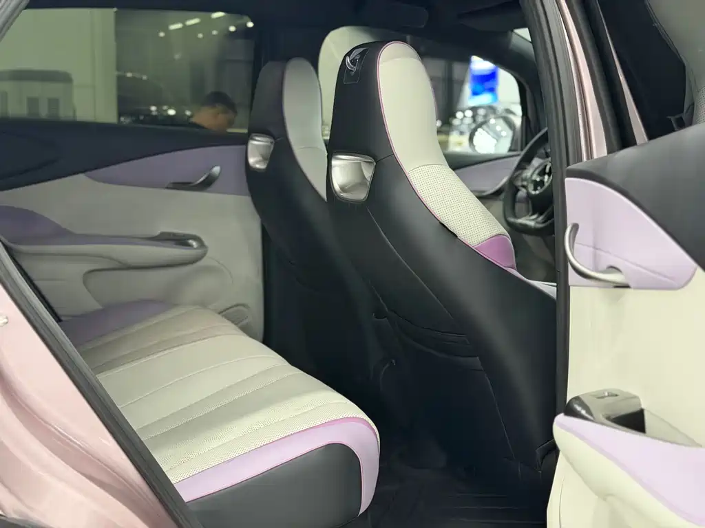 BYD Dolphin 2024 420km Fashion