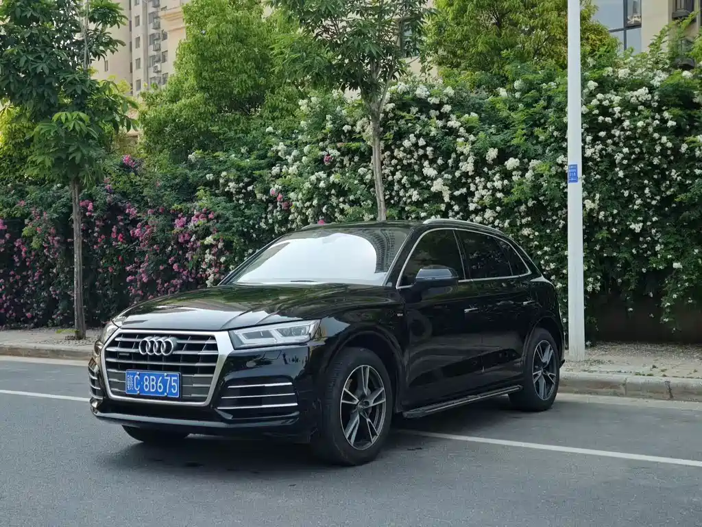 Audi Q5L 2019