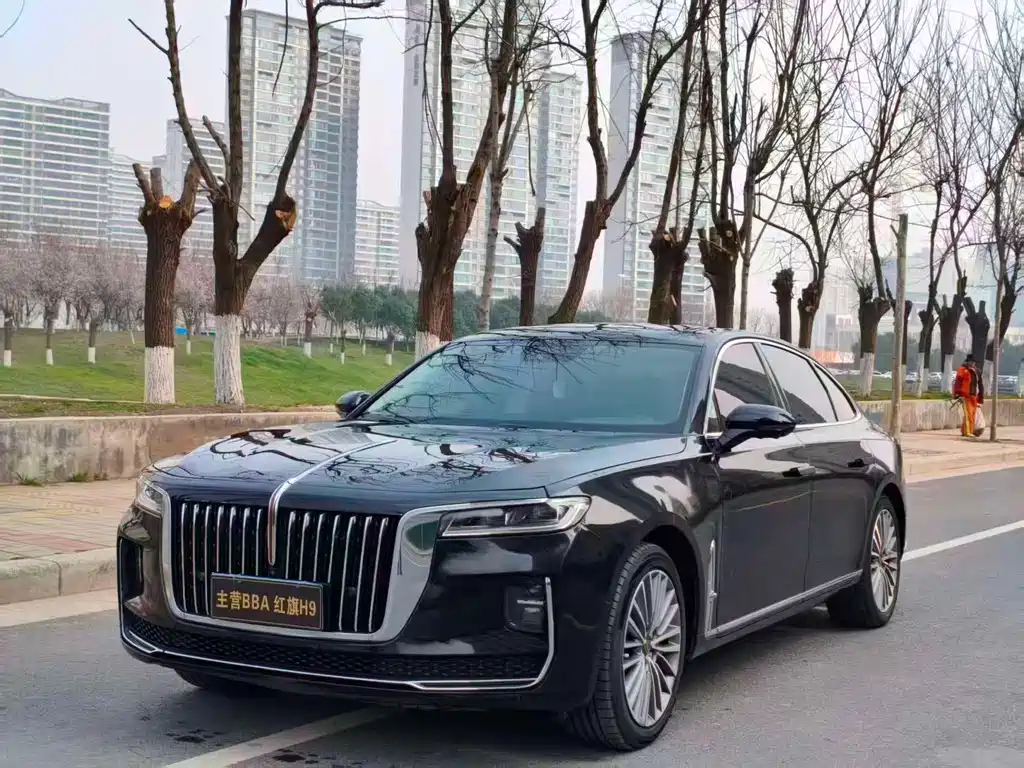 Hongqi Hongqi H9 2021