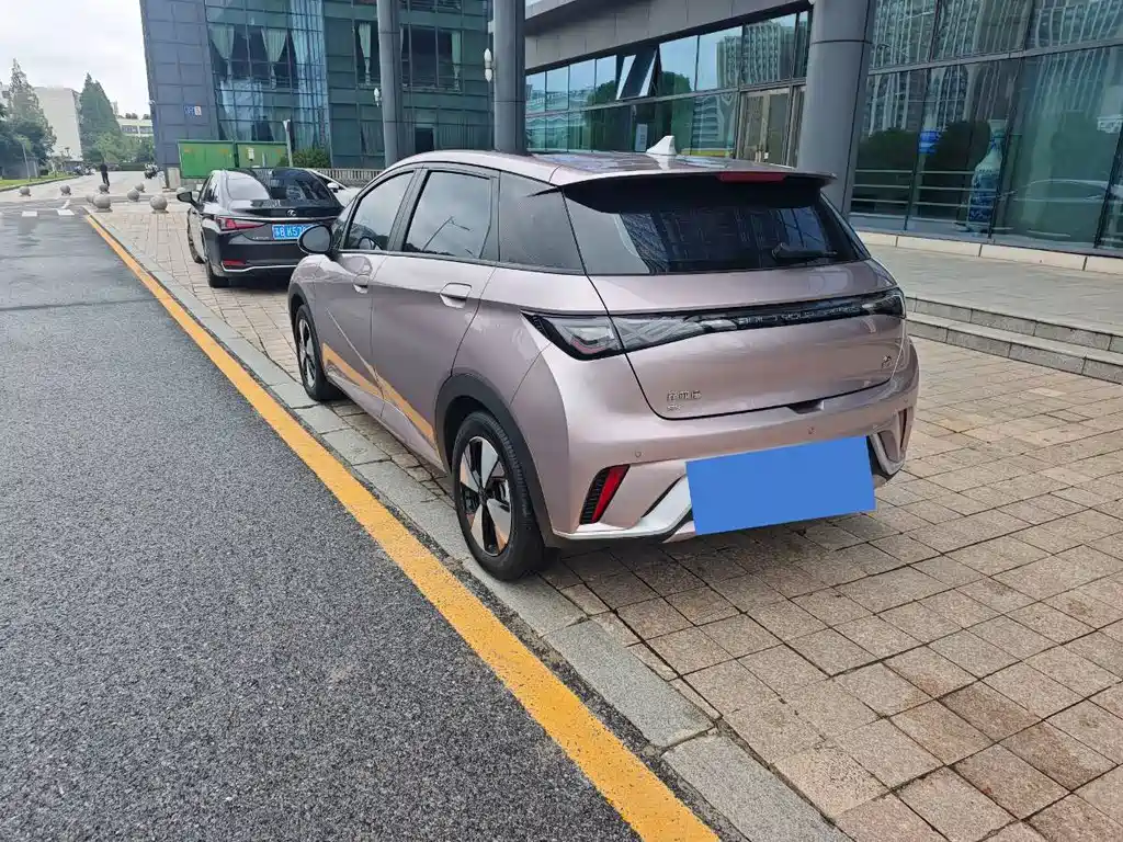 BYD Dolphin — миниатюра 3