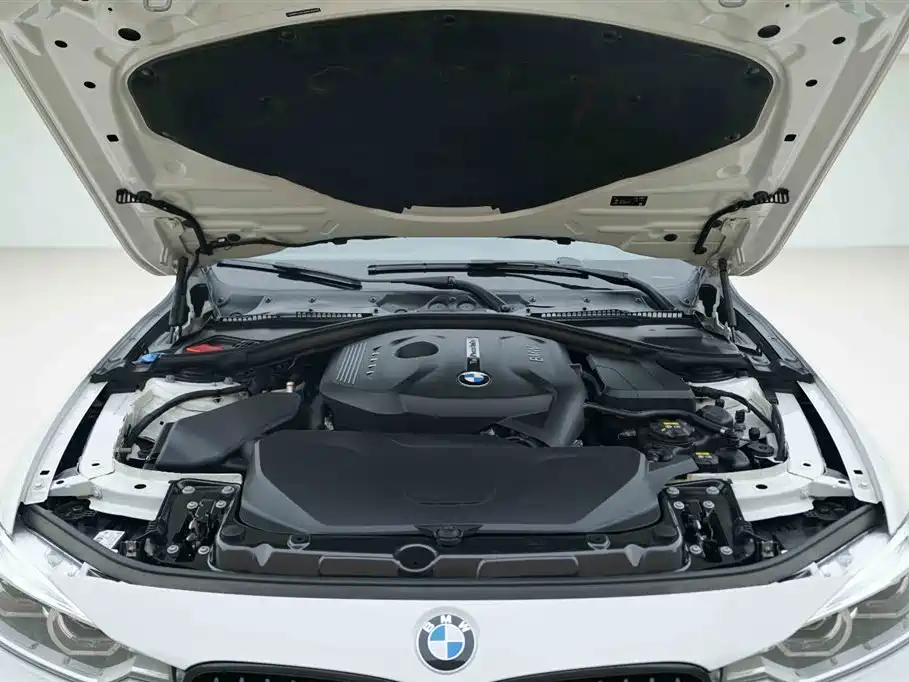 BMW 3 Series 3 2018 320Li Lead M Sport