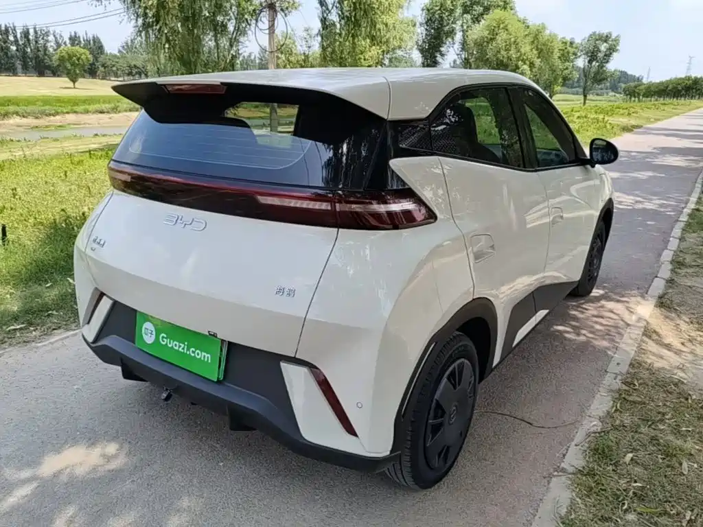 BYD Seagull 2024 305km