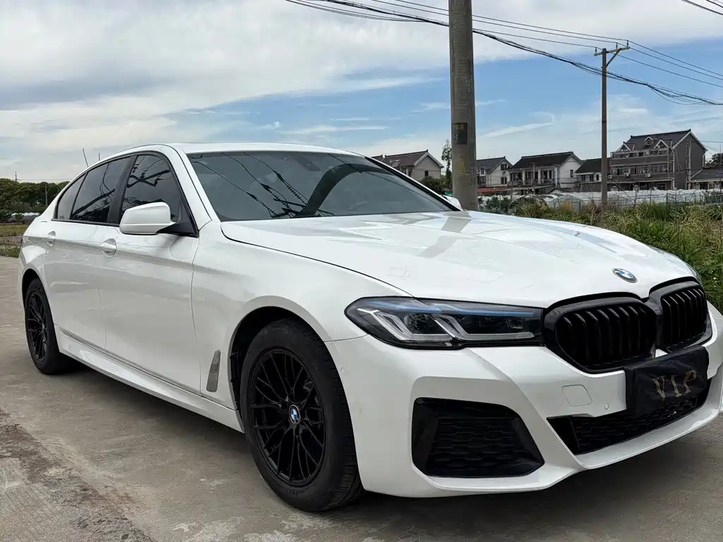BMW 5 Series — миниатюра 3