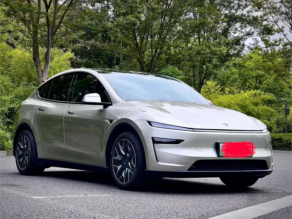 Tesla Model Y L — фотографии объявления, Фото 4