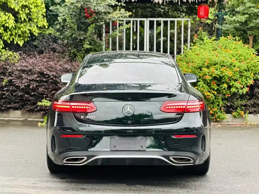Mercedes-Benz E-Class E 2021 E 300