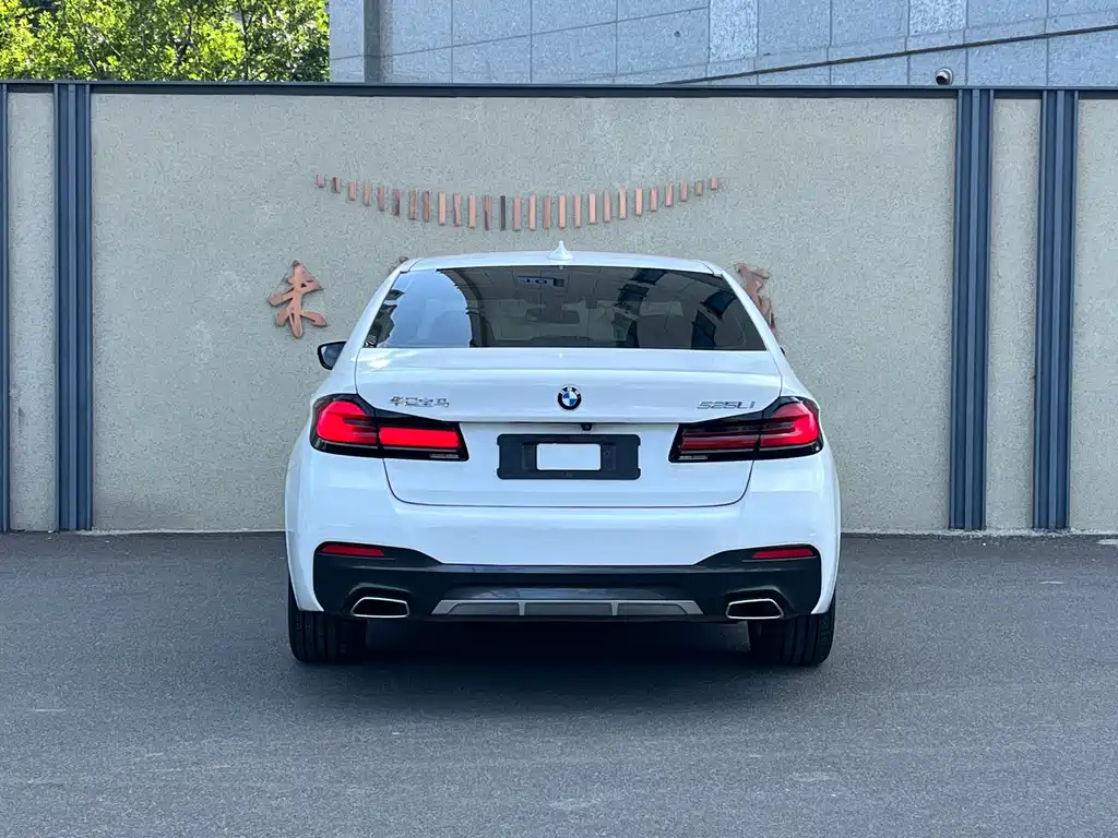 BMW 5 Series — миниатюра 5