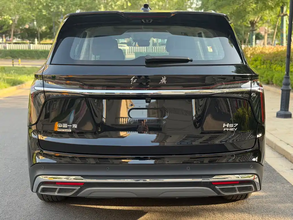 Hongqi Hongqi HS7 PHEV — миниатюра 11